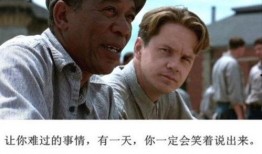 申肖克的救赎在线观看,一场关于希望与自由的救赎之旅