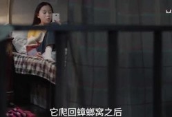 爆料小孩姐姐视频,小孩姐姐视频背后的惊人真相