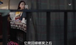 爆料小孩姐姐视频,小孩姐姐视频背后的惊人真相