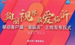 临沂今日爆料新闻视频,惊曝重大事件，详情即将揭晓！