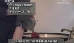 美国各种爆料人真假视频,美国爆料人真假视频背后的风云录
