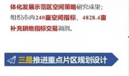 健健自媒体最新爆料