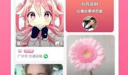 娱乐吃瓜聊天软件下载苹果版,揭秘热门聊天软件苹果版下载攻略