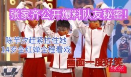 娱乐圈队友爆料小说,队友爆料背后的真相揭秘