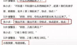 西安周至爆料案件最新,真相揭开，疑云散去，正义终将到来”