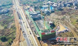 河源市和平县新闻爆料,事件详情及最新进展揭晓