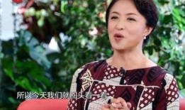 金星秀完整版在线观看,揭秘娱乐圈幕后故事，笑料与感动并存