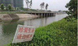 中江爆料跳河视频,惊心动魄的跳河瞬间，视频记录生死瞬间