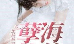 孽海在线观看,揭秘网络世界的爱恨情仇