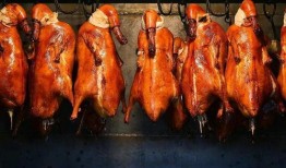 烤鸭大姐爆料视频大全下载,揭秘美食背后的故事