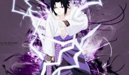 佐助首播爆料视频下载安装,下载安装全过程深度解析