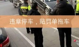 灵寿爆料最新,揭秘最新热点事件背后的真相