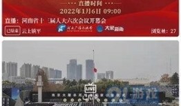 镇平新闻爆料事件视频