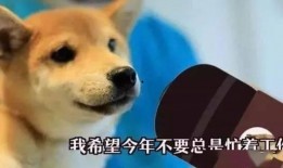 二狗爆料视频下载,幕后真相大曝光