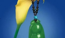 教授挂饰爆料视频,视频爆料背后的惊人真相