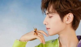 罗云熙最新八卦爆料