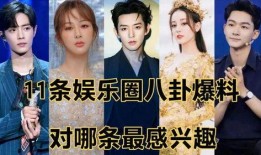 娱乐圈爆料第九季,揭秘明星幕后故事，热点事件大揭秘