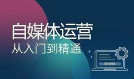 视频原创爆料君是谁啊怎么赚钱,揭秘其身份与独特赚钱之道