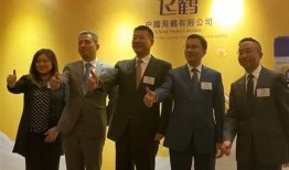 飞鹤最新爆料新闻视频播放