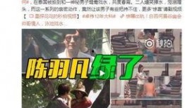 爆料大案二集视频播放下载,视频播放下载背后的惊心动魄