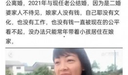 小七婶爆料大哥视频大全,大哥视频大全背后的故事与真相