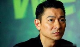 娱乐八卦每日爆料刘德华,娱乐八卦揭秘巨星生活点滴
