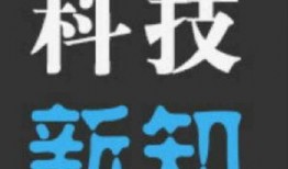 it公司最新爆料,行业变革与创新趋势全解析