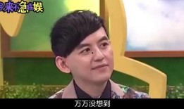 娱乐圈发疯爆料,揭秘明星背后的疯狂故事