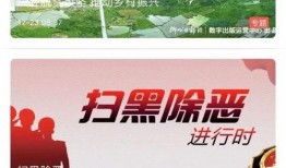 飞鹤最新爆料新闻视频播放