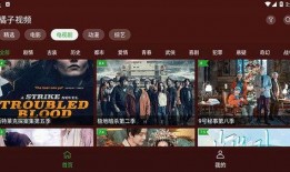 爆料明星素材视频下载免费,免费下载独家素材视频，一窥娱乐圈真实一面
