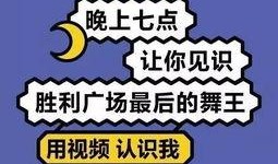 娱乐大爆料文案短句,短句背后的明星故事