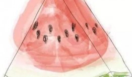 娱乐吃瓜酱八卦图