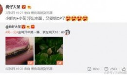 爆料小趴的视频,视频内容深度解析