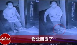 全网第一拍爆料社区视频,揭秘热门视频背后的故事