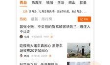 青岛新闻在线爆料平台电话,揭秘幕后真相