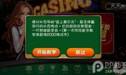 天天家族爆料视频全集,揭秘家族背后的精彩故事