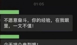 it公司最新爆料,行业变革与创新趋势全解析