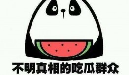 娱乐吃瓜酱八卦图