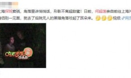 上海小情侣爆料视频,揭秘都市爱情背后的真实故事