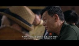 理性怀疑在线观看,揭秘网络视频背后的真相与思考