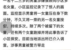 网友爆料大厂事件视频大全,网友爆料揭露惊人真相