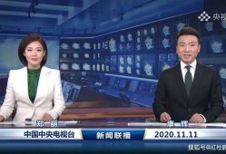 央视谈英国媒体爆料视频