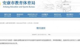 最新安康爆料视频,最新事件内幕曝光