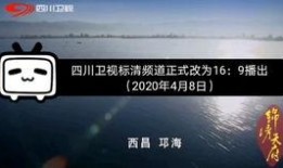 四川电视台新闻爆料,揭露当地民生问题背后的真相