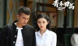 青禾男高在线观看全部,揭秘热血青春的激战岁月