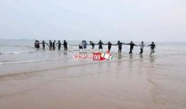 爆料秦皇岛新闻,最新爆料揭示城市动态与热点事件