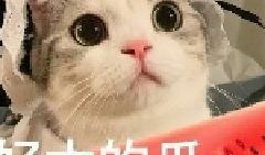 网红吃瓜漫画,揭秘娱乐圈幕后真相