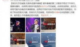 央视谈英国媒体爆料视频