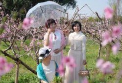 碧之季节在线观看