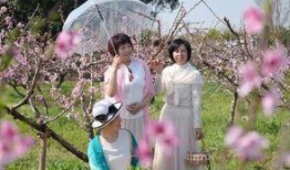 碧之季节在线观看